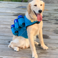 Barktender
