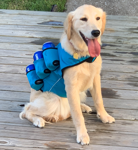 Dog vest with water bottle holder hot sale
